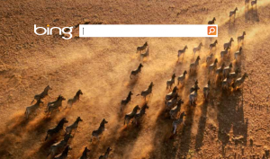 bing search engine
