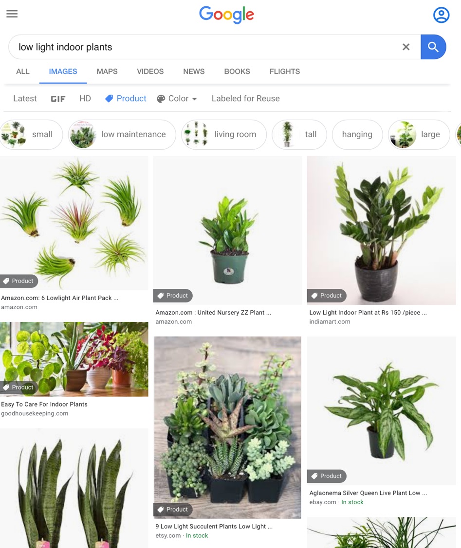 google image search results